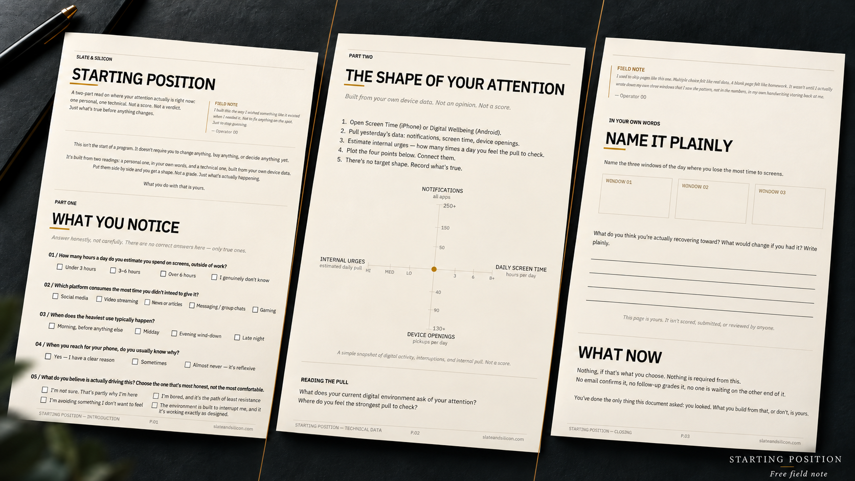 Starting Position — preview of the three-page diagnostic